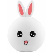 47255 Bunny