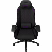 CHA41 Black/ Purple