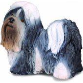 Collecta šunų veislė SPANIEL CAVALIER KING CHARLES