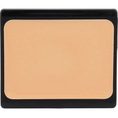 _5627723 Artdeco Camouflage Cream W 4.5g