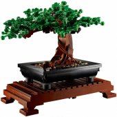 Bonsai Tree 10281