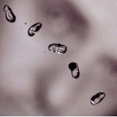 PETER GABRIEL „Up“