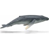 Collecta COLLECTA HUMBAK YOUNG figurine