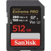 SDXC 512GB Class 10 SDSDXEP-512G-GN4IN