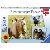 Ravensburger dėlionė 3x49 Mieli žirgai (080113)