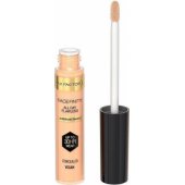 Facefinity All Day Flawless Airbrush Finish Concealer W 7,8
