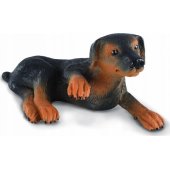 Collecta COLLECTA dobermano šuniuko figūrėlė