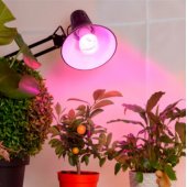 LED fito lemputė E27 augalams ir daigams 18W, 270°, IP20