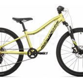 Storm Jr. 24 Sulfur Yellow (24®® / 12®®)
