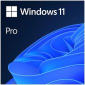 Windows 11 Pro 64 Bit USB Eng HAV-00163