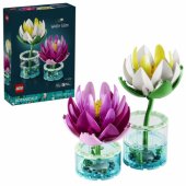 11511 Water Lilies