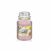 Candle Sunny Daydream 623g