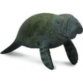 Collecta Sea Elephant Young Swimming figurine