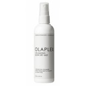 Volumizing Blow Dry Mist W 150ml