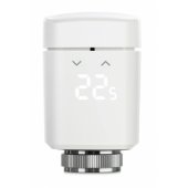 10EBP1751 Thermostatic Radiator Valve