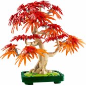 10348 Japanese Red Maple Bonsai Tree