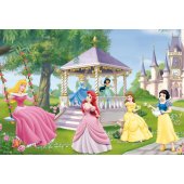 Enchanted Princesses 2 x 24 pcs.
