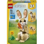 Cute Bunny 31162