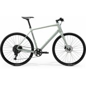 Speeder 60 2026 M Silk Early Moss Grey/ Purple