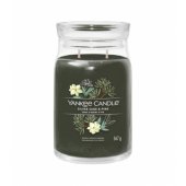 Silver Sage & Pine firminė žvakė 567g