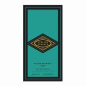 Atelier Versace Fleur de Maté EDP 100ml