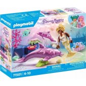Mermaid with Dolphins