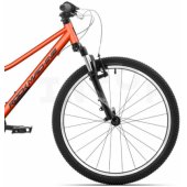 Catherine Jr. 24 Coral Red (24" / 12®®)