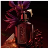 The Scent Elixir Parfum 50ml