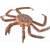 Collecta KARALIŠKOJO KRABO figūrėlė