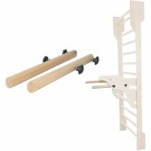 Parallel Bars for Wall Bars