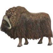 Collecta ARCTIC FEMALE figurine