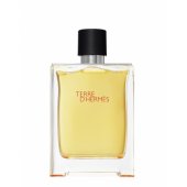 Terre D Hermes EDT 100ml