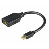 Cable mini DisplayPort – DisplayPort 1.2 0.2m Black