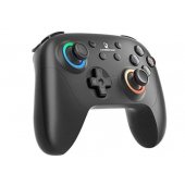 RG P01 Black
