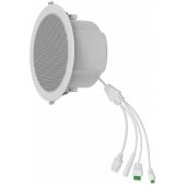 A233 White
