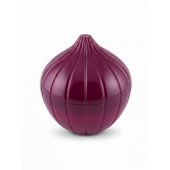 SFS05 Onion Saver