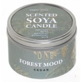 Candle Forest nuotaikos žvakė Cedar Ø8x5.3cm