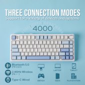 F75 EN White + Blue + Purple switch