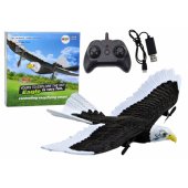 Eagle Bird Remote Controlled RC Plane 2.4G 41cm x 28cm x 5cm