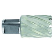 HSS Сore Drill Ø19X60X30 mm, short series. Weldon shank Ø19