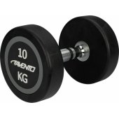 Hantelis 42DP 10kg