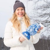 Arctic-is 4561