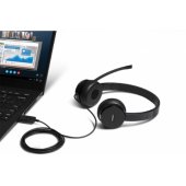 100 USB stereo ausinės Juoda