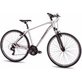 28" Orkan 1 M (2026) 19" / M Graphite