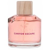 Hollister Canyon Escape EDP 100 ml