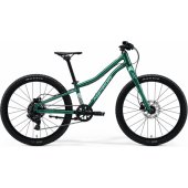 Matts J.24+ 2026 Evergreen / Turquoise/ Black