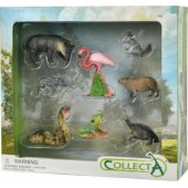 Collecta laukinių gyvūnų figūrėlių rinkinys, 8 vnt.