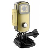 C100+ Gold