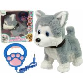 Plush Dog Interactive Educational Leash Songs Walks