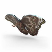 Schleich insect discovery set